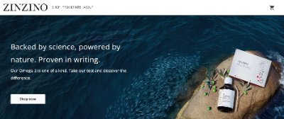 ZinZino